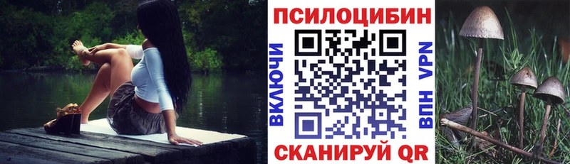 наркота  Ясногорск  Псилоцибиновые грибы мицелий 